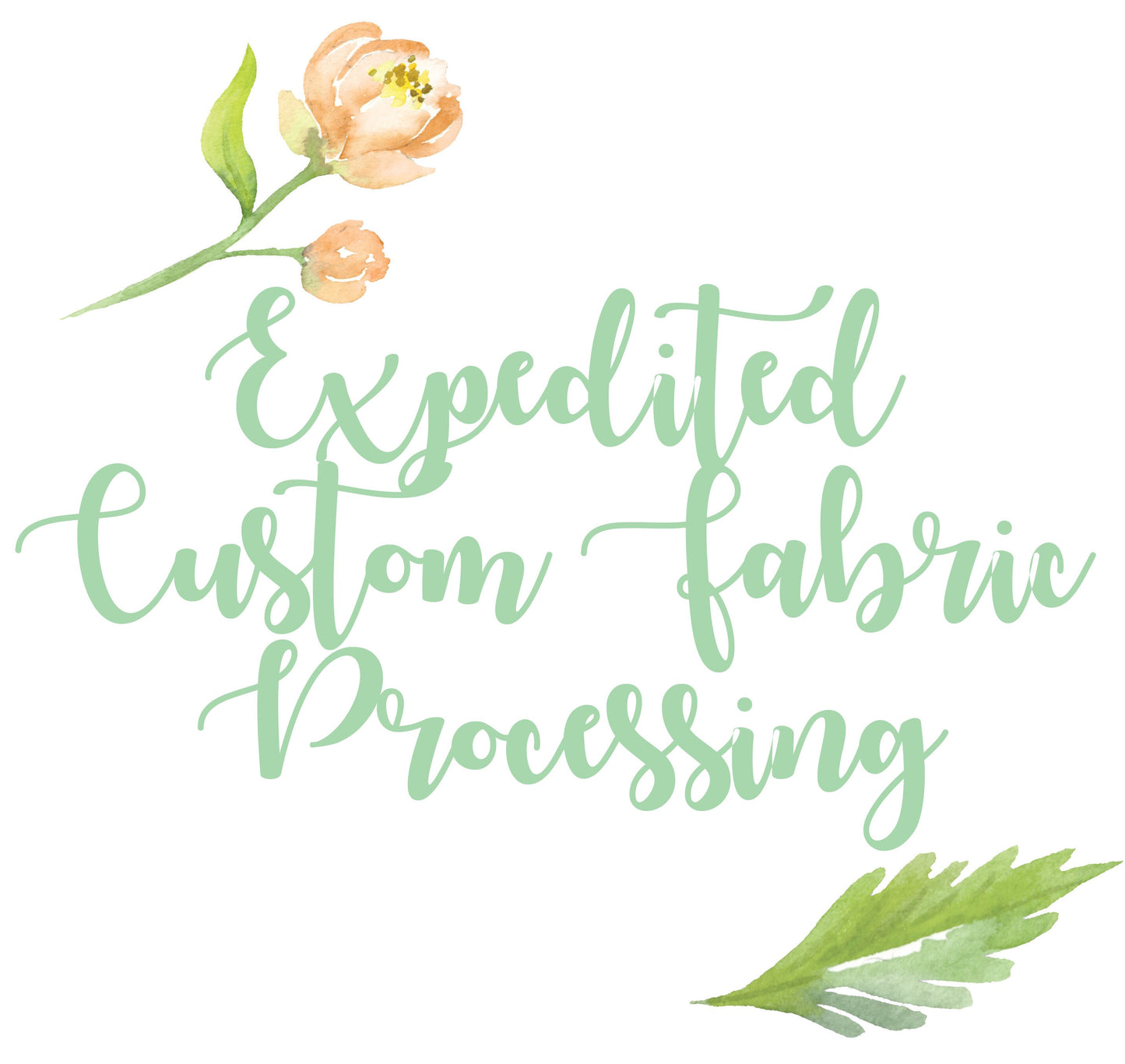 5-7 Business Days Expedited Processing